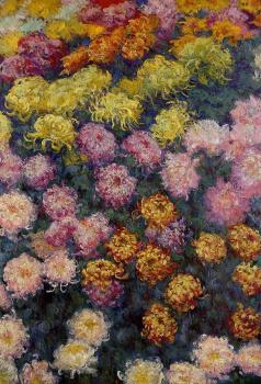 Claude Oscar Monet : Bed of Chrysanthemums